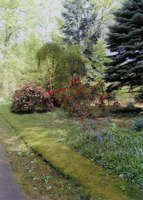 Grandhome