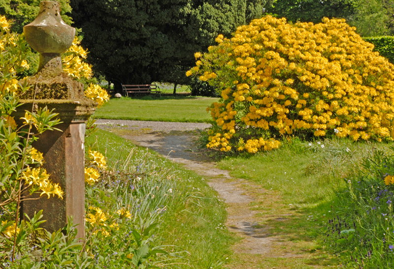 Danevale Park ? Mary McIlvenna