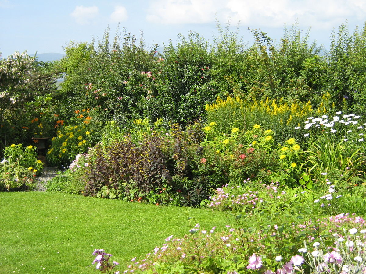 Balmeanach House