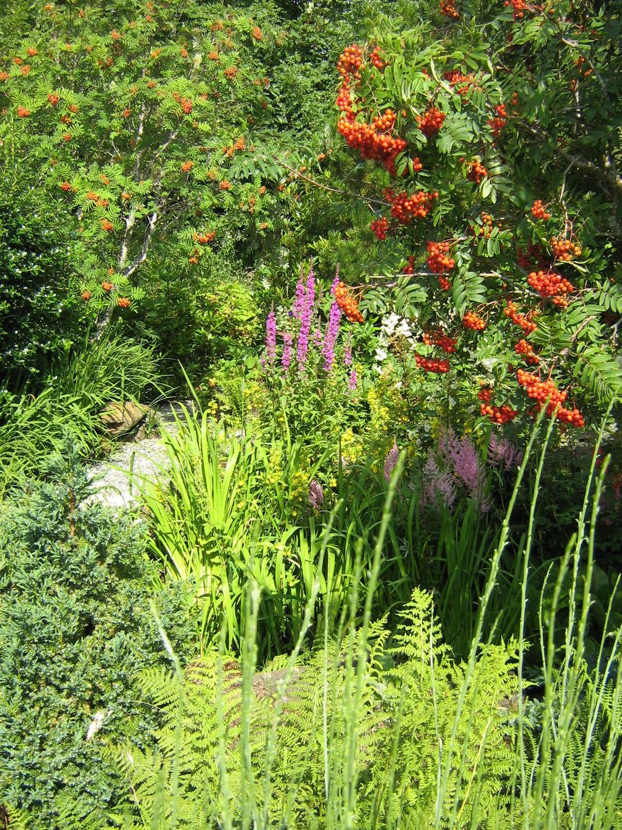 Balmeanach House