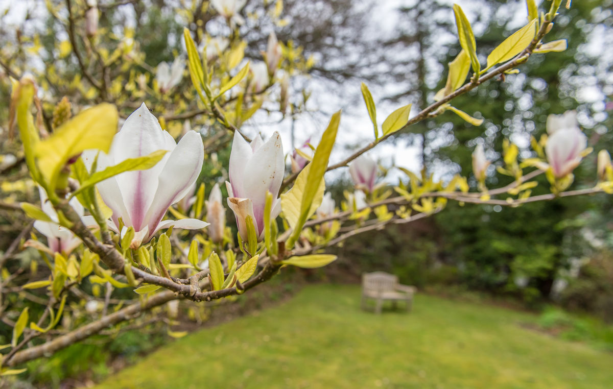 Crinan Hotel Garden