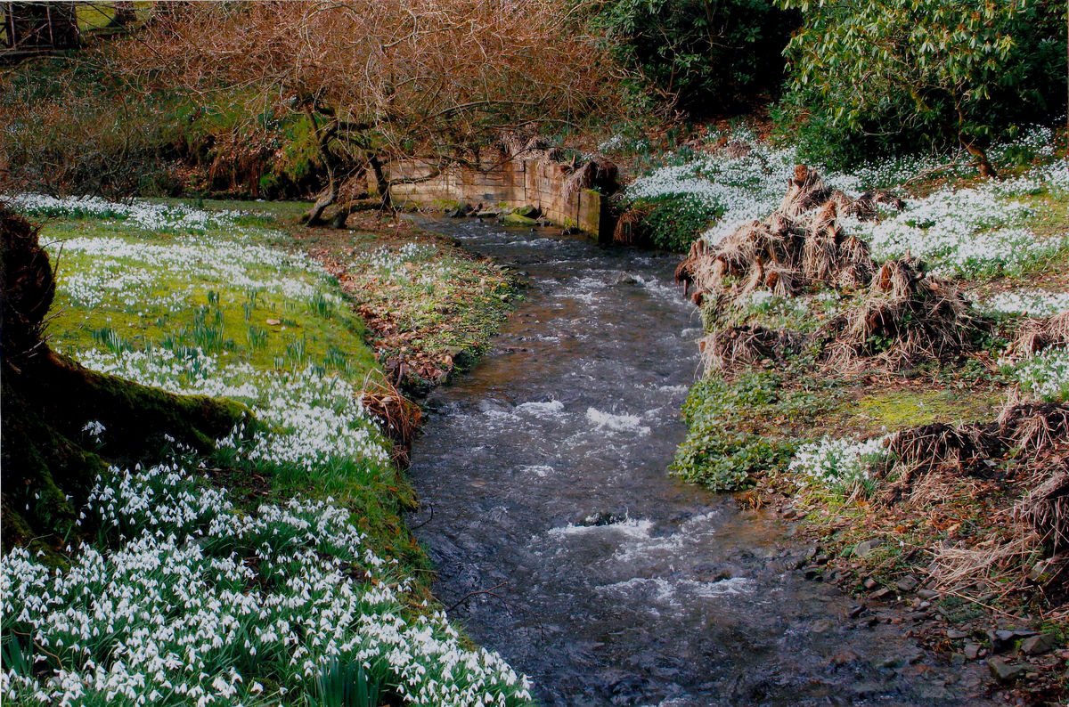 Kailzie Gardens